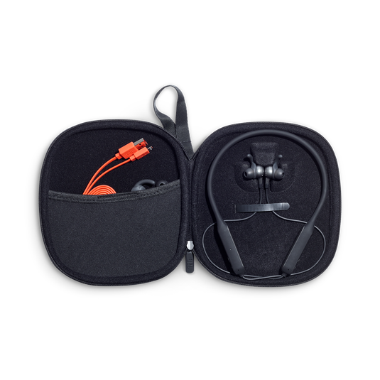 Everest elite 150 hotsell