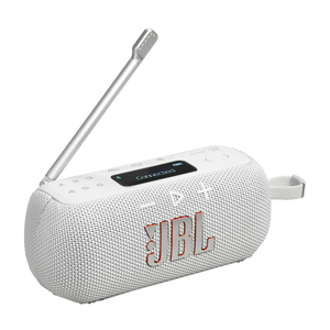 Harman Kardon Citation Sub